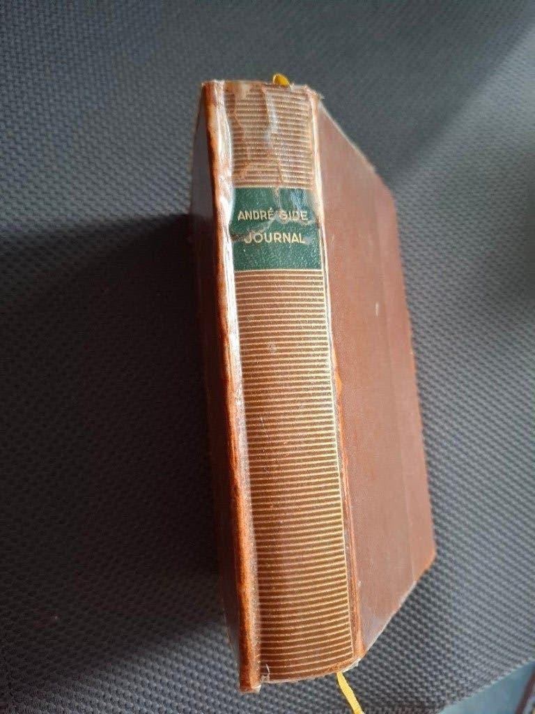 André  Gide - Journal 1889 - 1939, Ophalen of Verzenden, Gelezen, André Gide