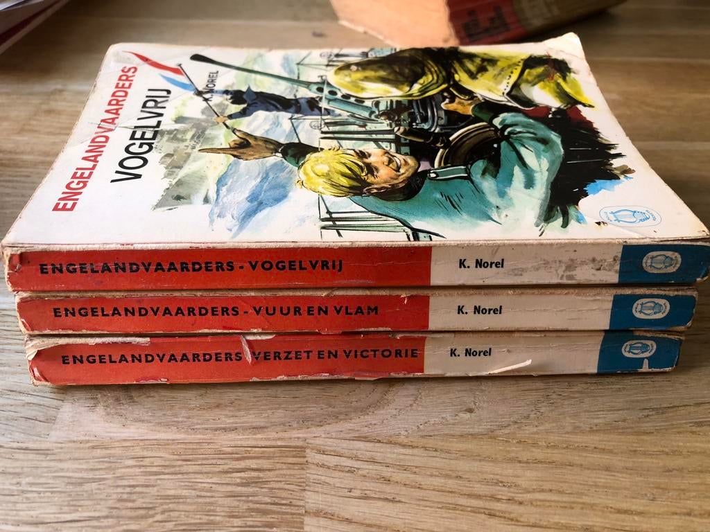 Vogelvrij - K. Norel, Ophalen of Verzenden, Tweede Wereldoorlog, Gelezen