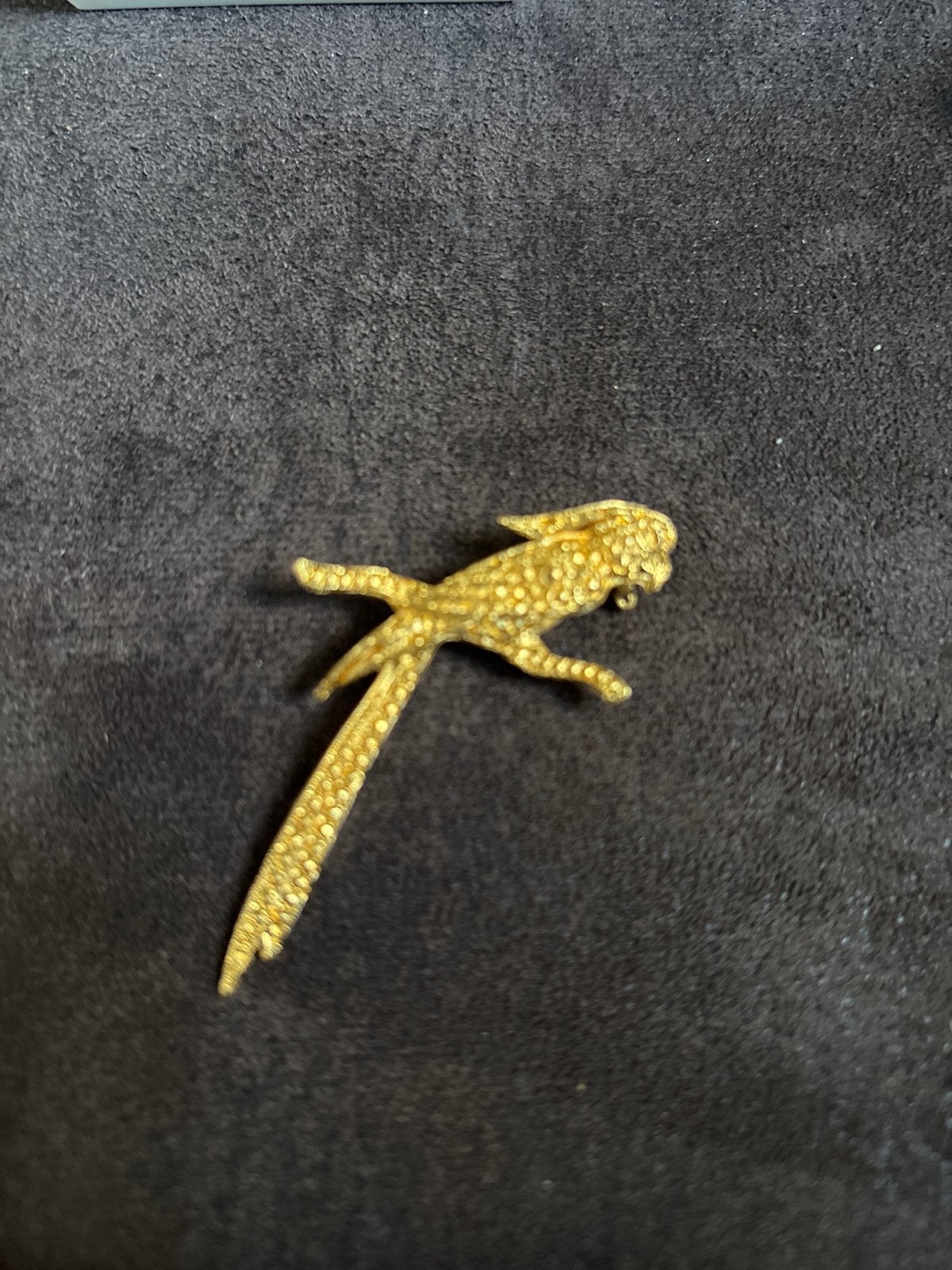 Vintage goudkleurige ara broche, Overige materialen, 4 tot 7 cm, Gebruikt, Ophalen of Verzenden