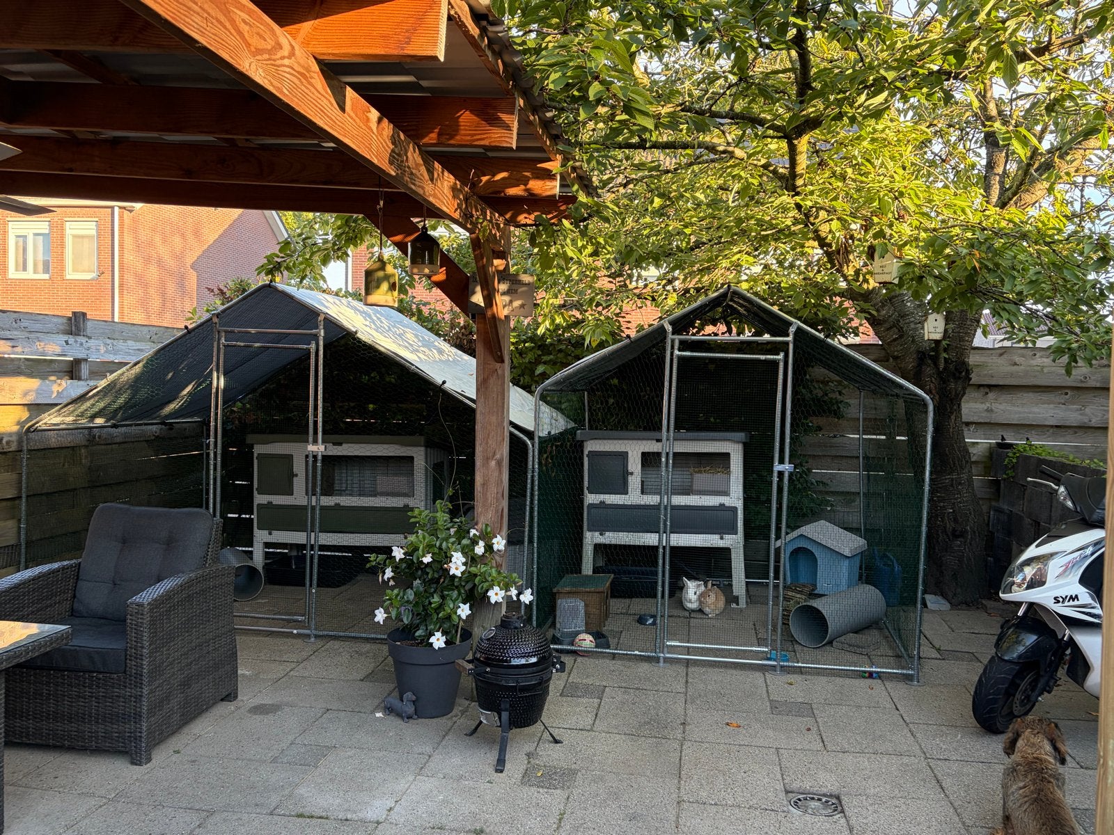 Vakantie opvang “ de konijnen camping “