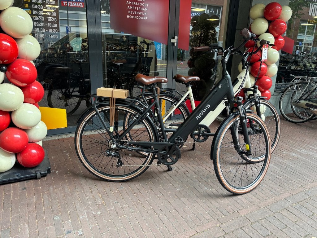 Foto 3 van Fietshokje Raaks: Raaks Eton Elektrische damesfiets 3V