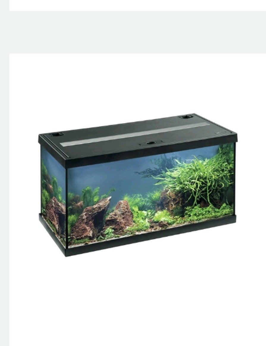 EHEIM Aquarium
Aquastar LED
zwart 54 L,
60x30x30 cm, Dieren en Toebehoren, Vissen | Aquaria en Toebehoren, Ophalen, Zo goed als nieuw