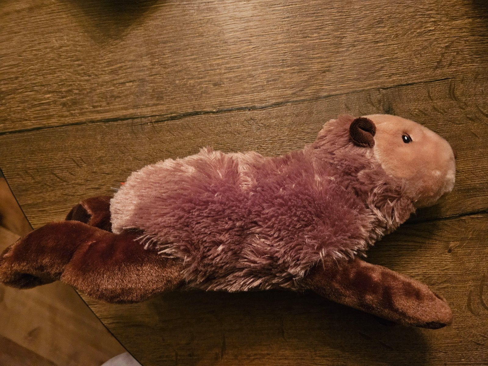 Capibara knuffel, Overige typen, Ophalen of Verzenden, Bruin, Met label