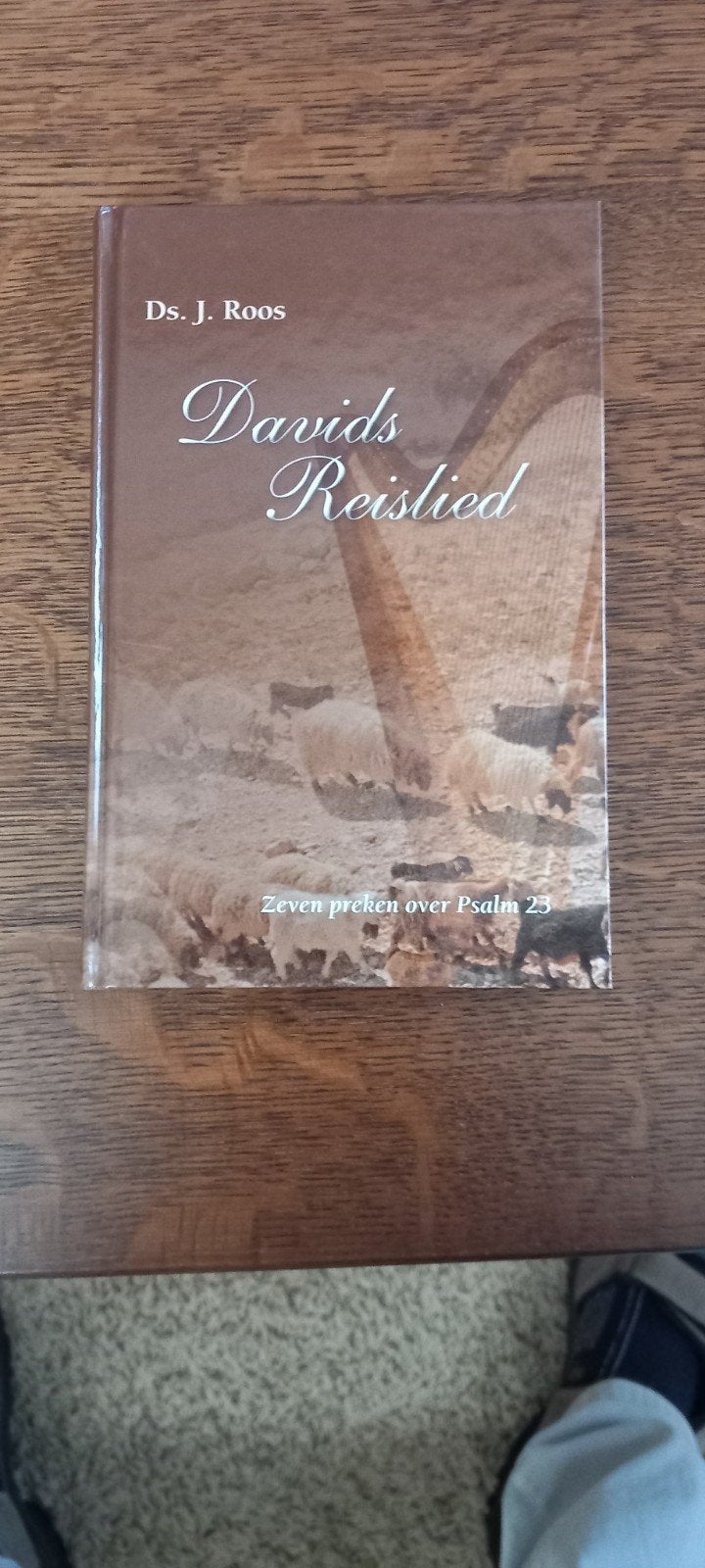 Davids Reislied, Ophalen of Verzenden, Nieuw