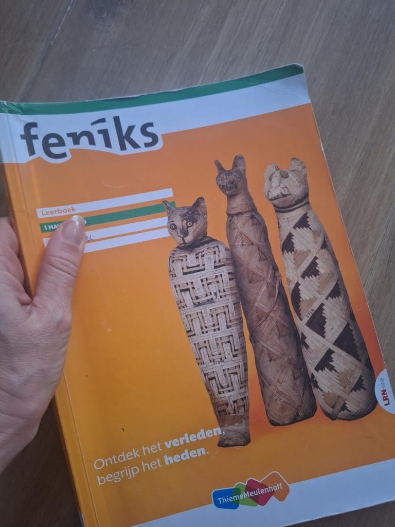 Bijles aan huis, Overige uren, Vanaf 10 jaar, Overige vormen