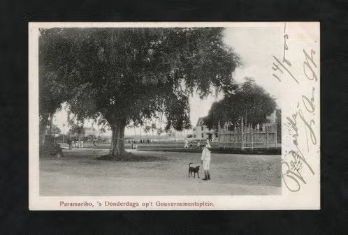 Suriname Paramaribo Donderdags Gouvernementsplein 1905., Verzamelen, Ophalen of Verzenden, Voor 1920, Gelopen, Buiten Europa