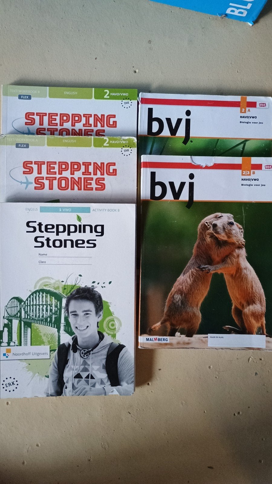 schoolboeken havo Engels Biologie, Ophalen of Verzenden, Gelezen, HAVO, Biologie