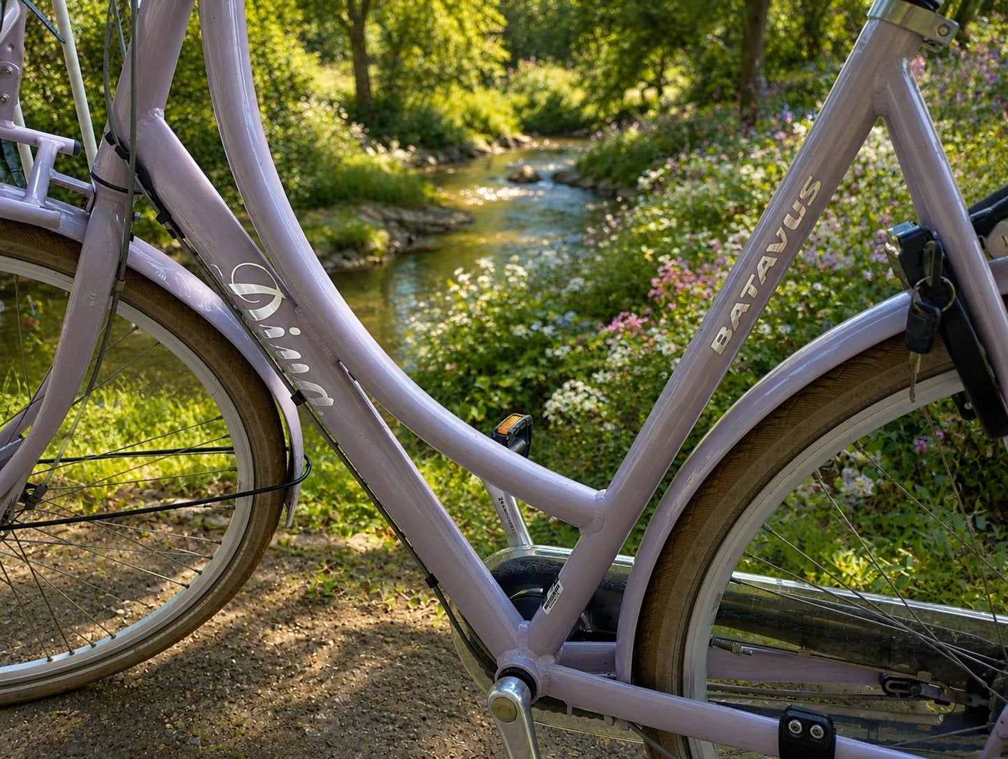Batavus Diva Damesfiets - 59 cm, Ophalen, Gebruikt, Batavus, Versnellingen