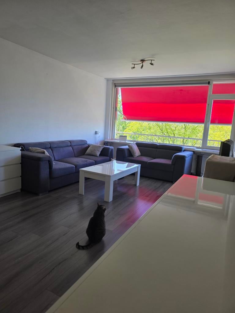 Salontafel + tafel + banken, Ophalen of Verzenden