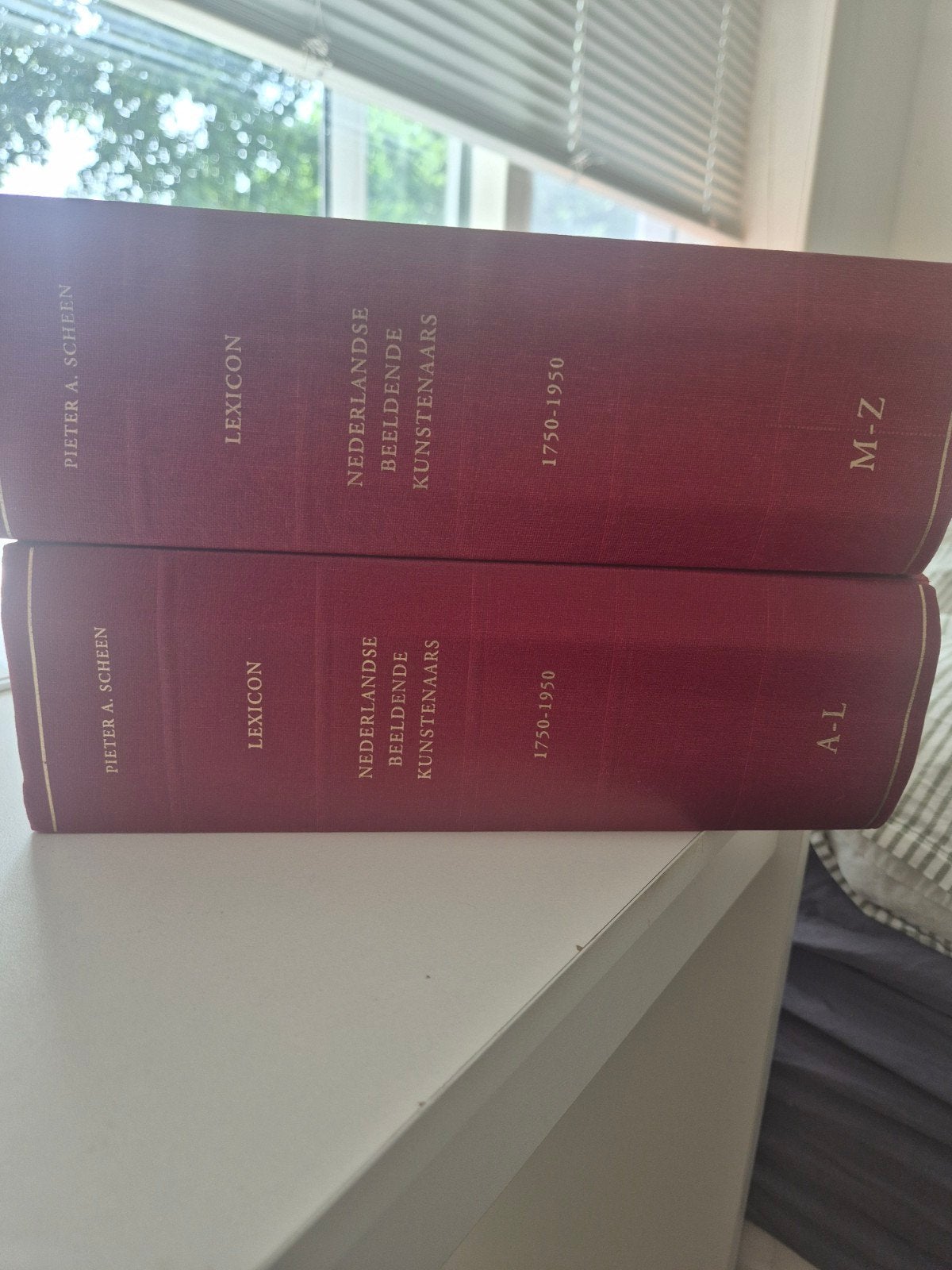 Lexicon Nederlandse Beeldende kunstenaars, Ophalen of Verzenden, Gelezen