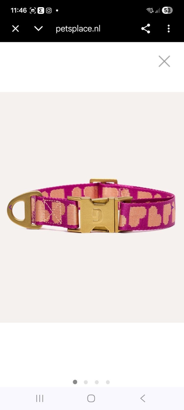 Gezocht, halsband Dogguo xs, Ophalen of Verzenden, Nieuw