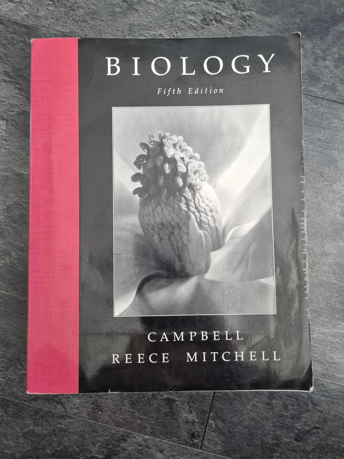 Biology fifth edition - Campbell Reece Mitchell, Boeken, Studieboeken en Cursussen, Ophalen of Verzenden, Beta, Gelezen, WO