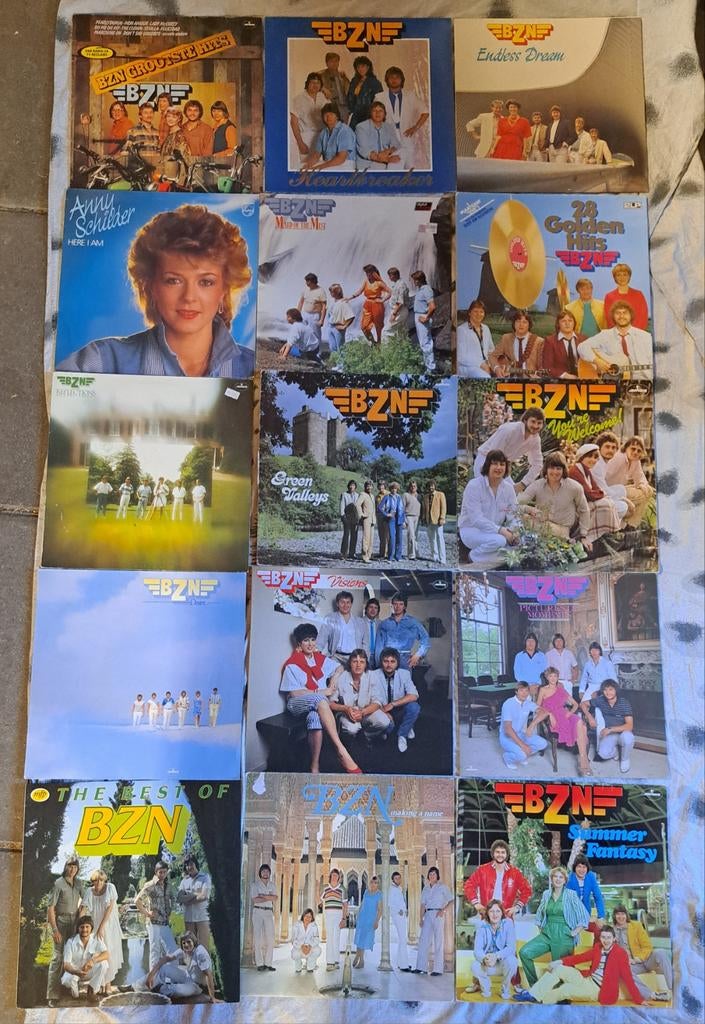 Grote collectie BZN LP's - 15 stuks, Cd's en Dvd's, Vinyl | Pop, Gebruikt, Ophalen of Verzenden, 1970 - 1979, Complilatie
