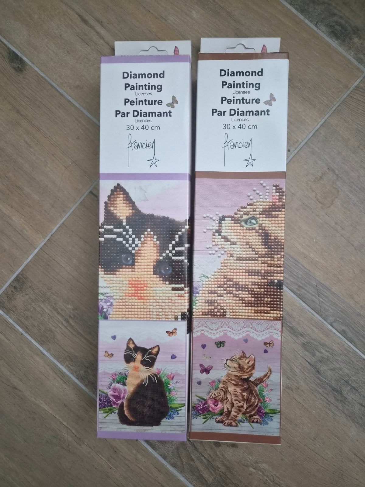 Set Francien katten diamond painting 30  40 cm, Nieuw, Meerkleurig, Ophalen of Verzenden, Diamond painting