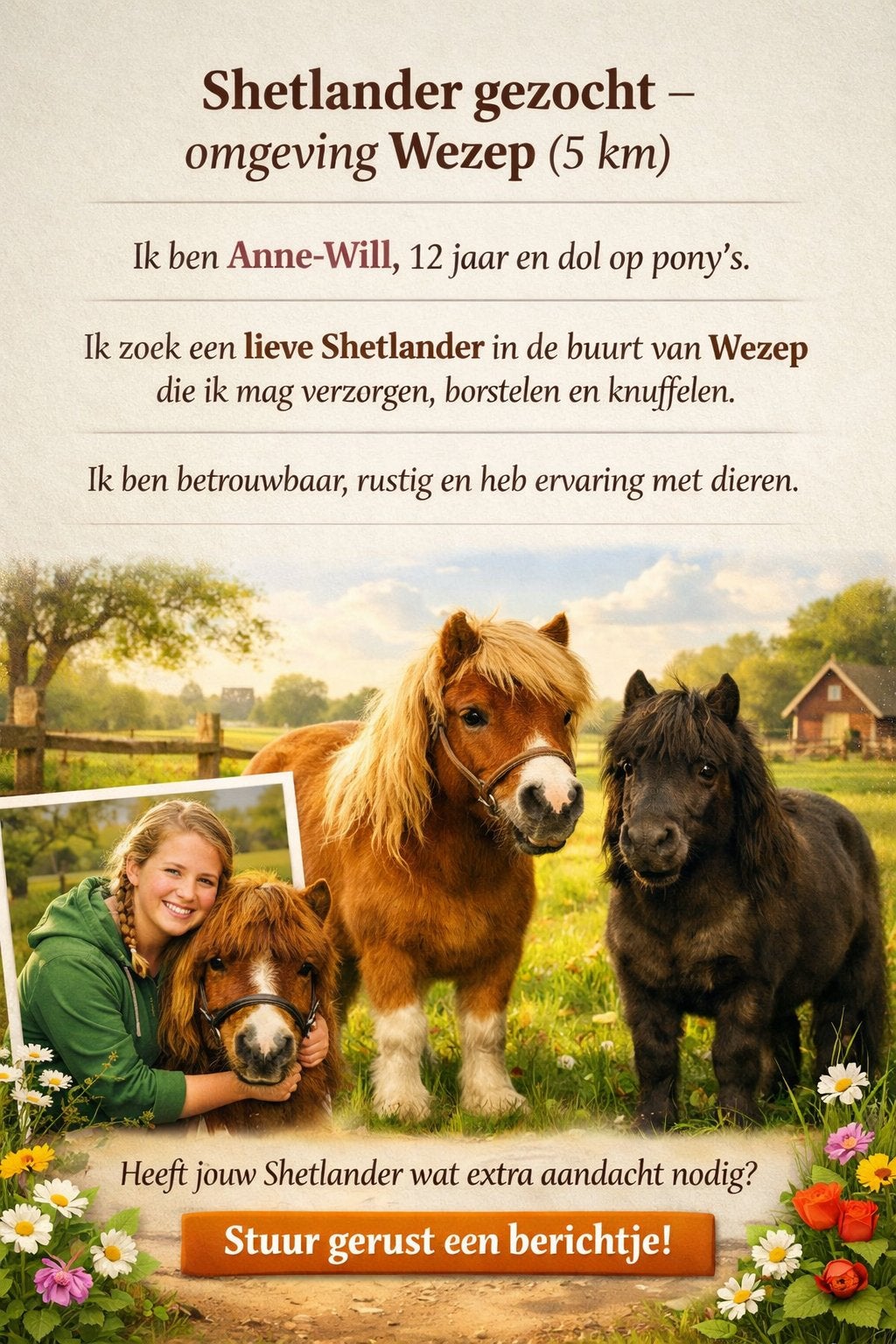 Lieve Shetlander gezocht in Wezep!
