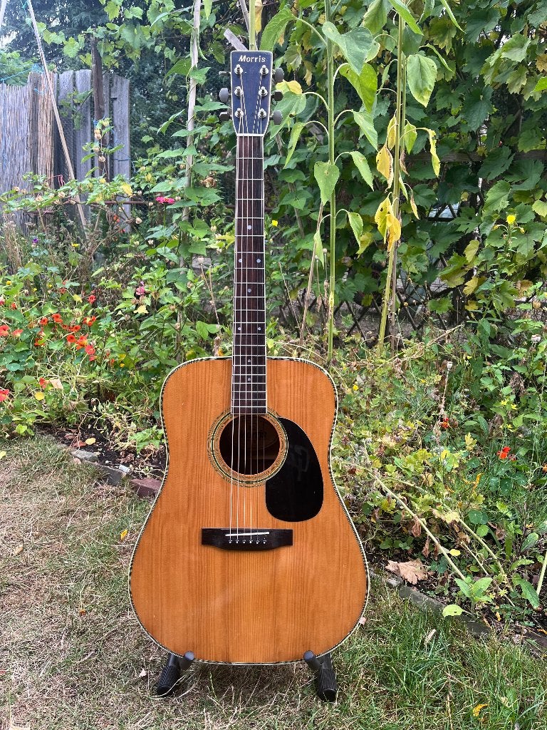 Morris W-30, Ophalen, Gebruikt, Western- of Steelstringgitaar