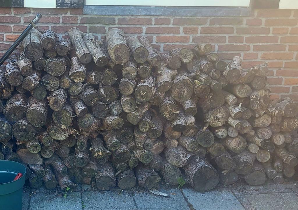 Dennenhout blokken, 6 m³ of meer, Ophalen, Overige houtsoorten, Blokken