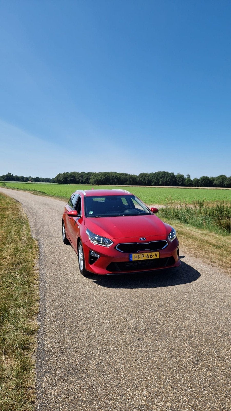 Kia (Pro) Cee d 1.6 Crdi 136pk Dct7 2020 Rood, Auto's, Kia, Particulier, (Pro) Cee d, ABS, Achteruitrijcamera, Hybride Elektrisch/Diesel