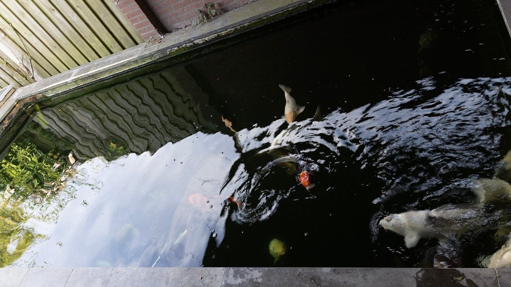 vijverpomp en toebehoren, Ophalen, Gebruikt, Vijverpomp