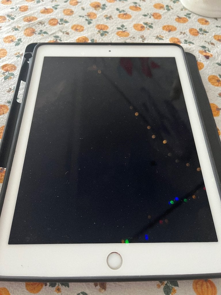 Foto 5 van iPad Pro 2016 (9,7 inch)