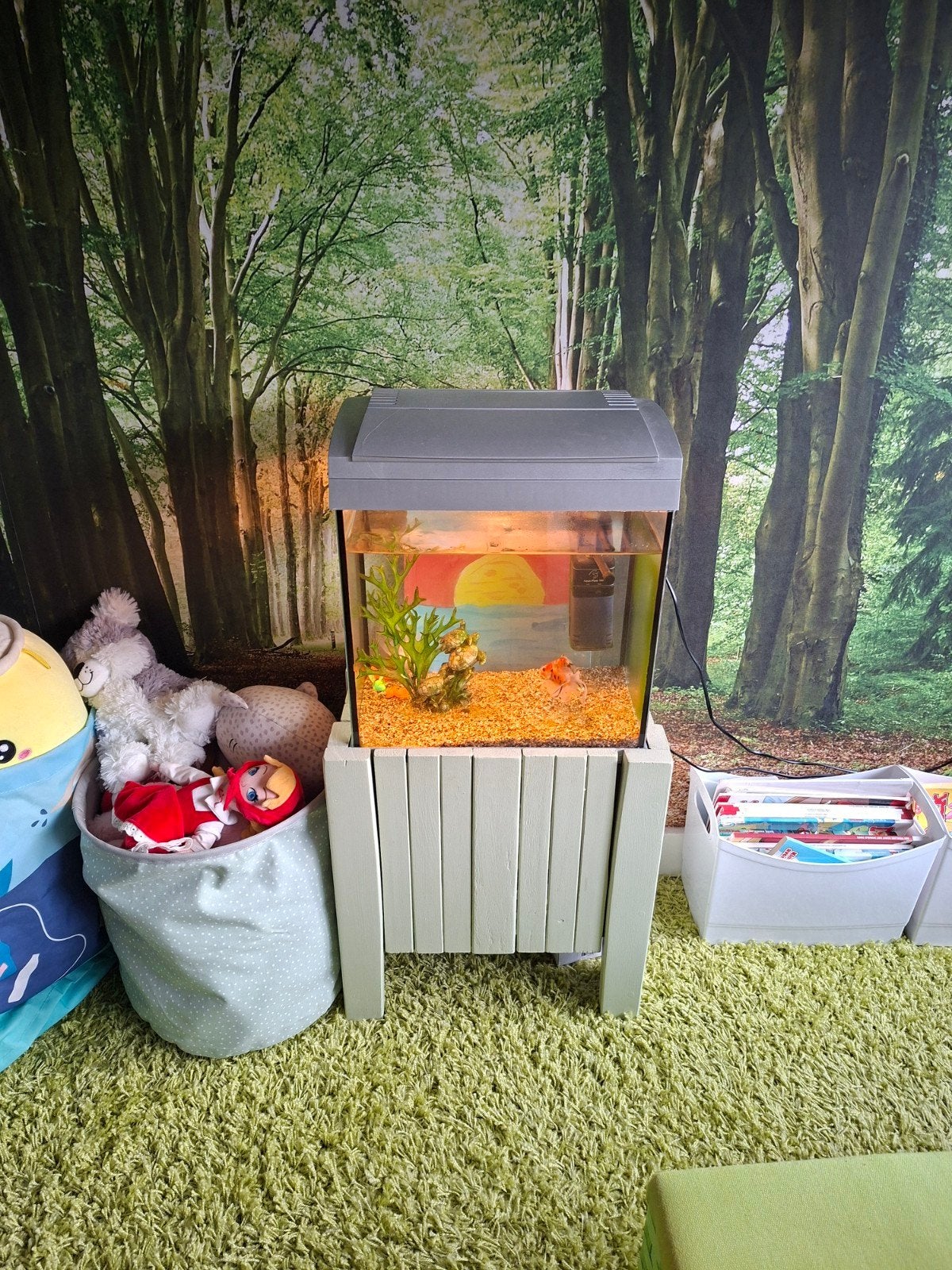 Volledig aquarium met toebehoren te koop., Dieren en Toebehoren, Ophalen, Pomp, Gebruikt, Gevuld zoetwateraquarium