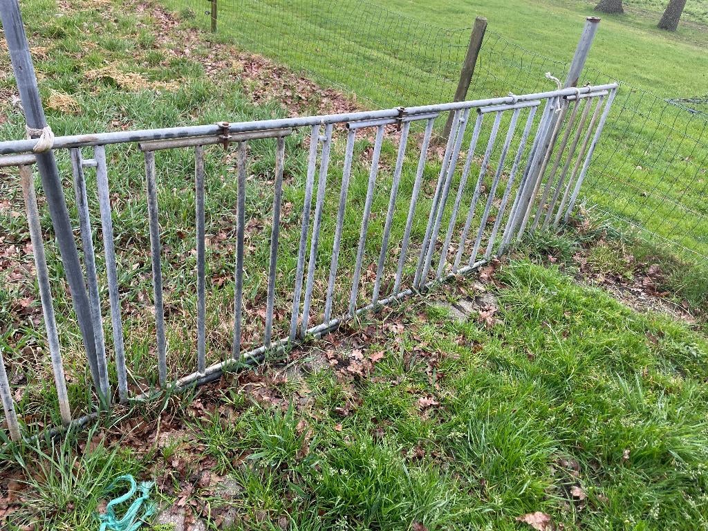 schapenhek, Dieren en Toebehoren, Meerdere dieren, Schaap