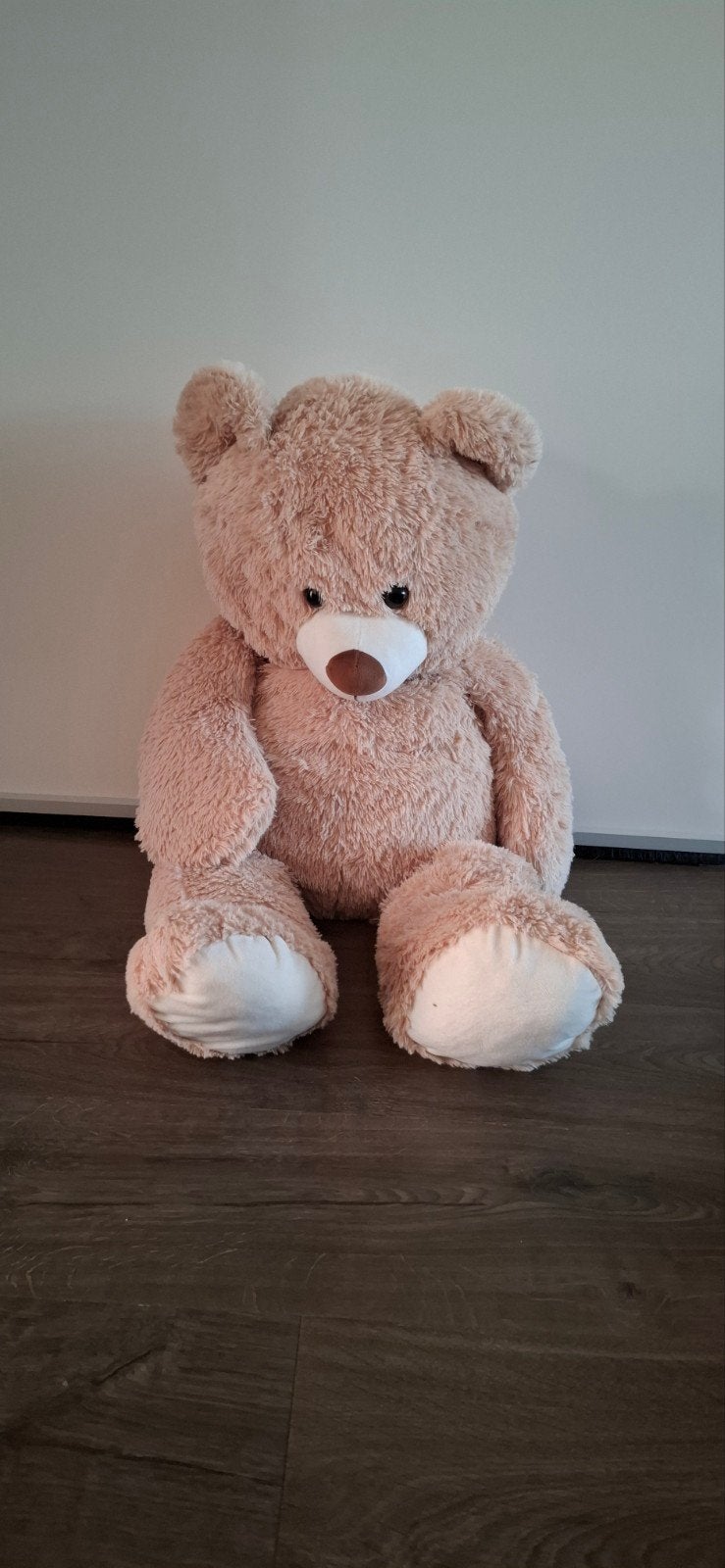 Grote knuffelbeer zoekt nieuw huis (gratis af te halen), Ophalen