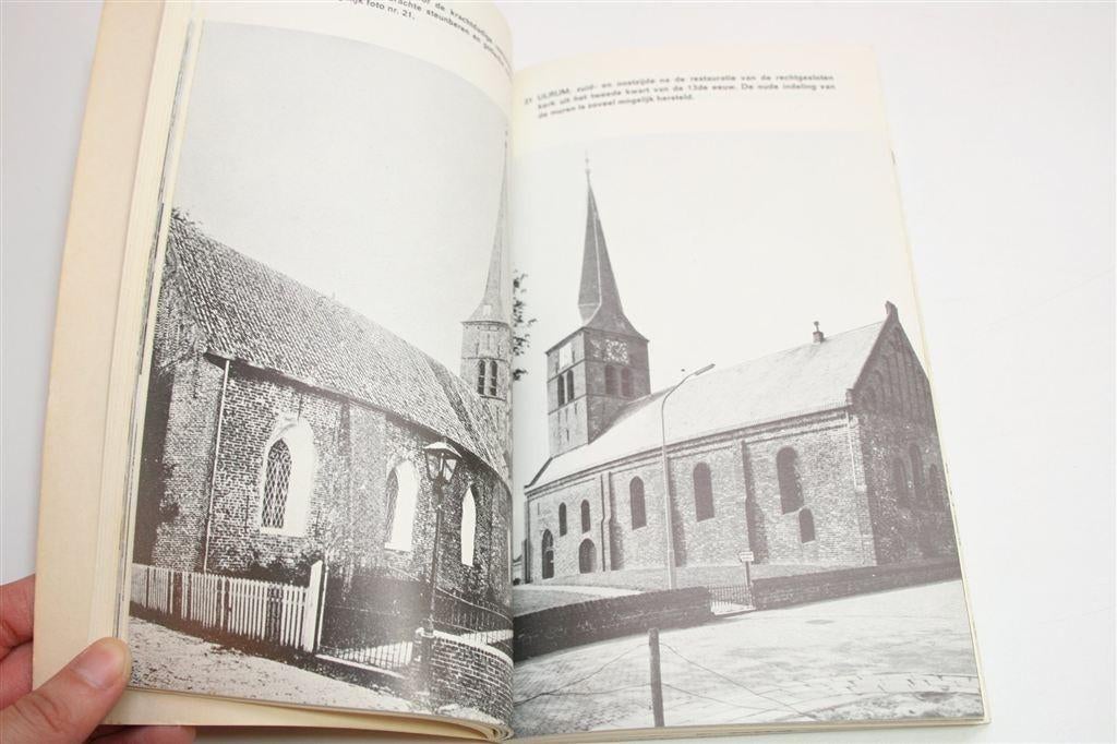 Langs de Oude Groninger Kerken — Stichting Oude Kerken, Boeken, Geschiedenis | Stad en Regio, Ophalen of Verzenden, Gelezen