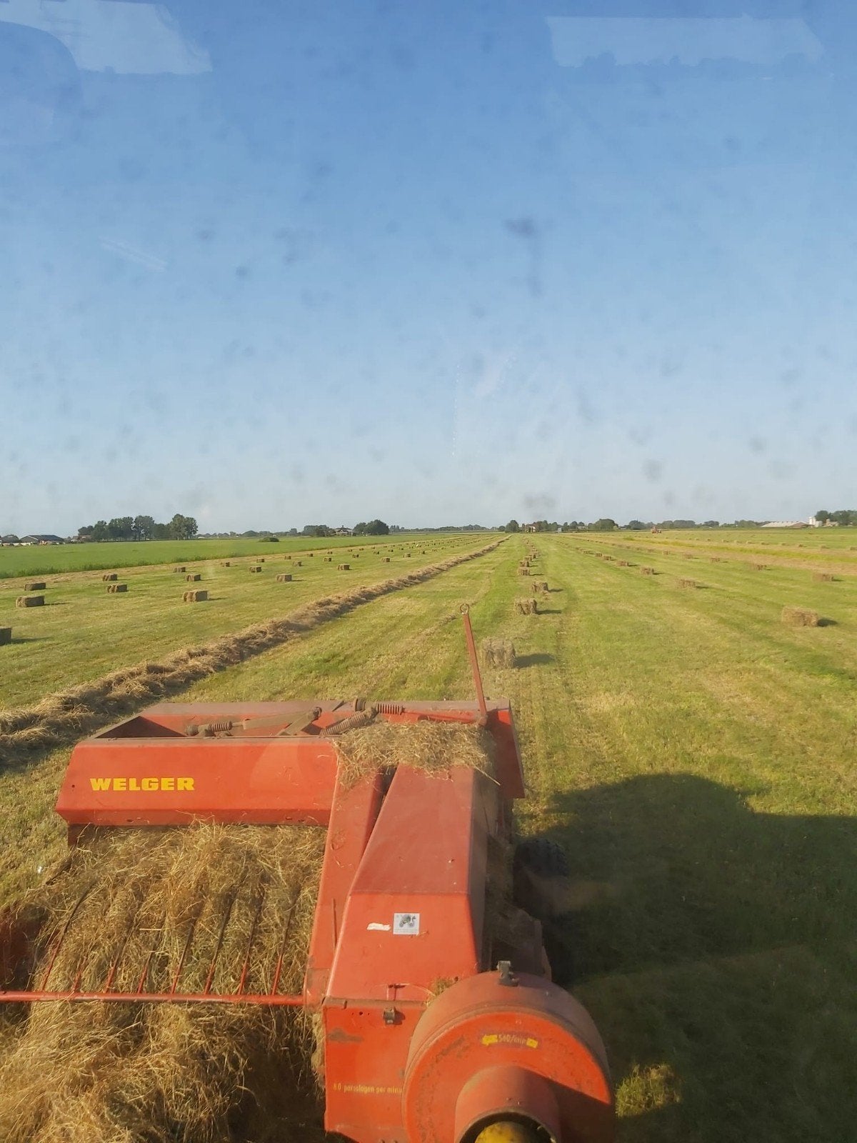 Hooi hooi , hooi baaltjes, Dieren en Toebehoren, Stalling en Weidegang