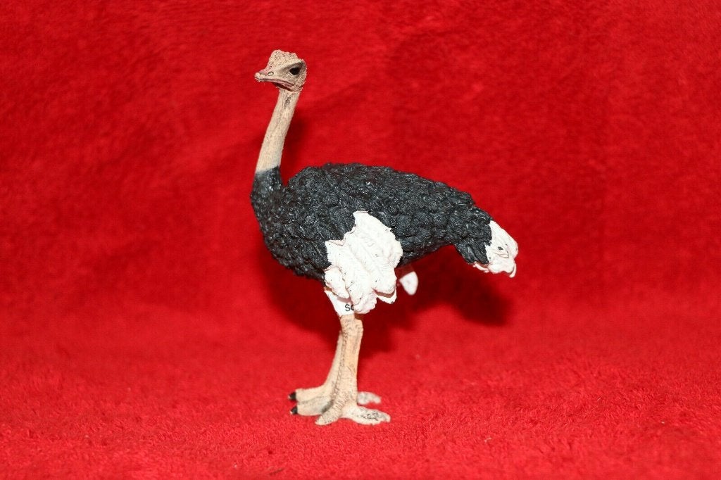 Schleich 14325 struisvogel figuur, Verzenden, Gebruikt, Vogel, Beeldje of Figuurtje