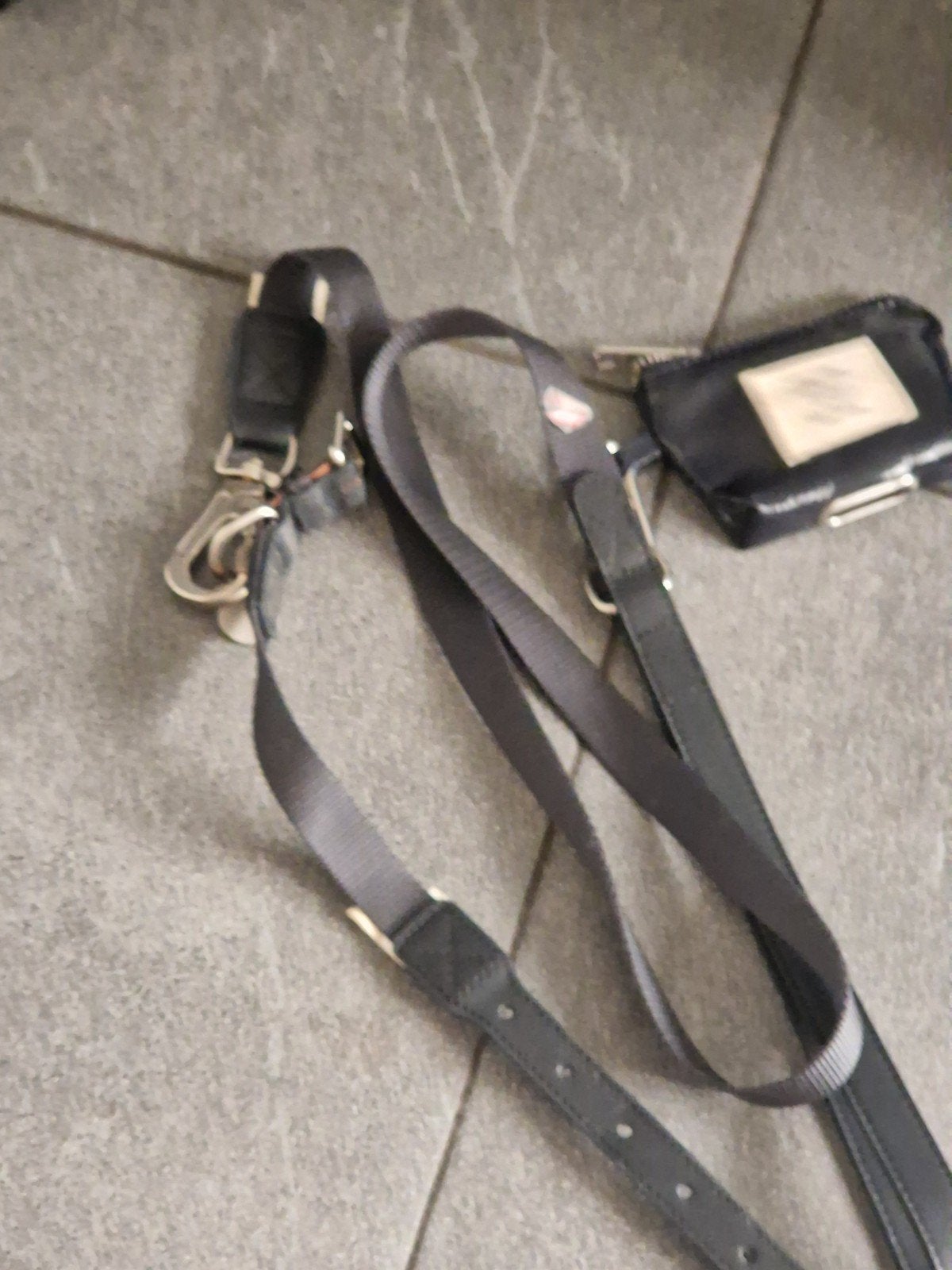 Hond riem van Zara, Ophalen of Verzenden