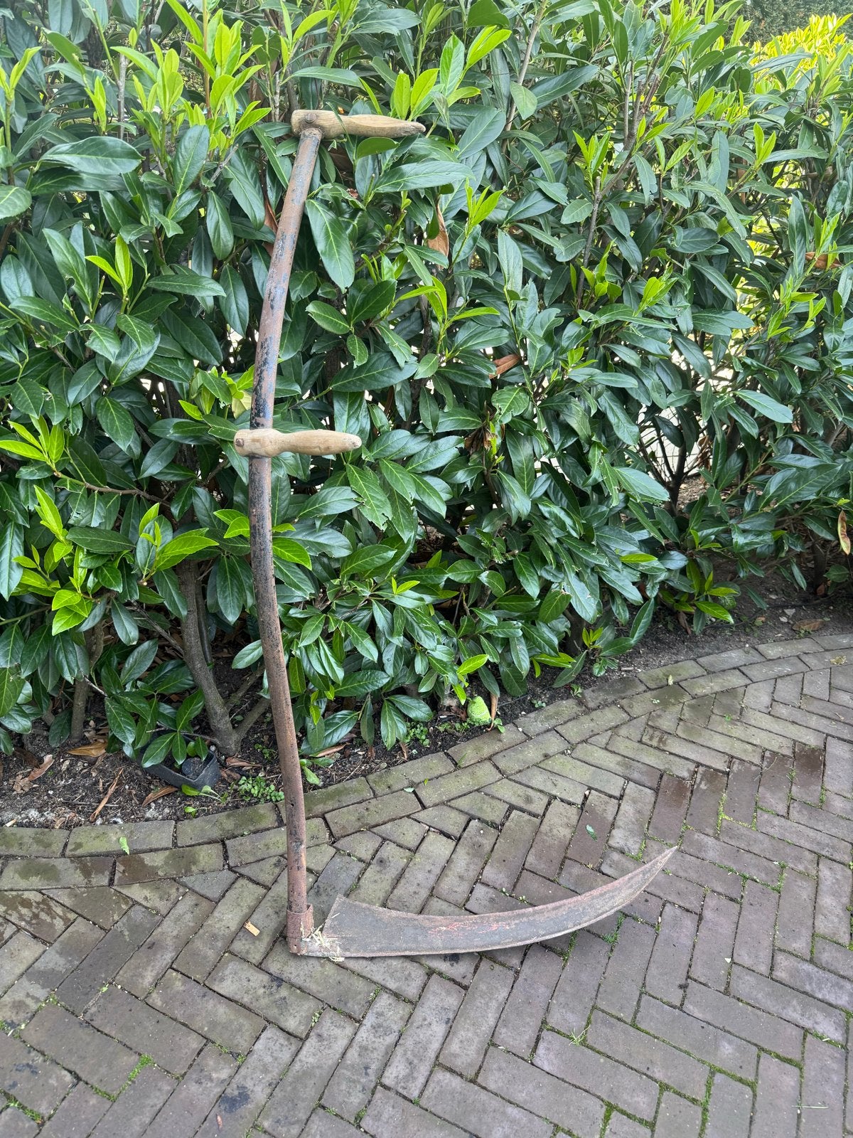 Oude zeis met houten handvatten, Ophalen