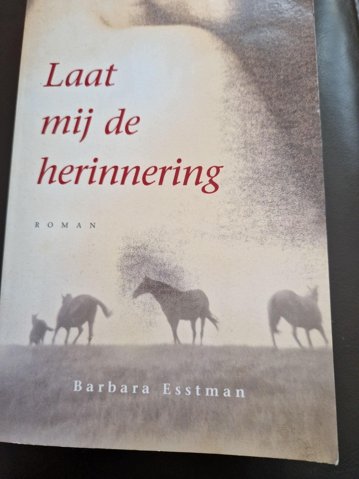 B. Esstman - Laat mij de herinnering, Ophalen of Verzenden, Zo goed als nieuw, B. Esstman