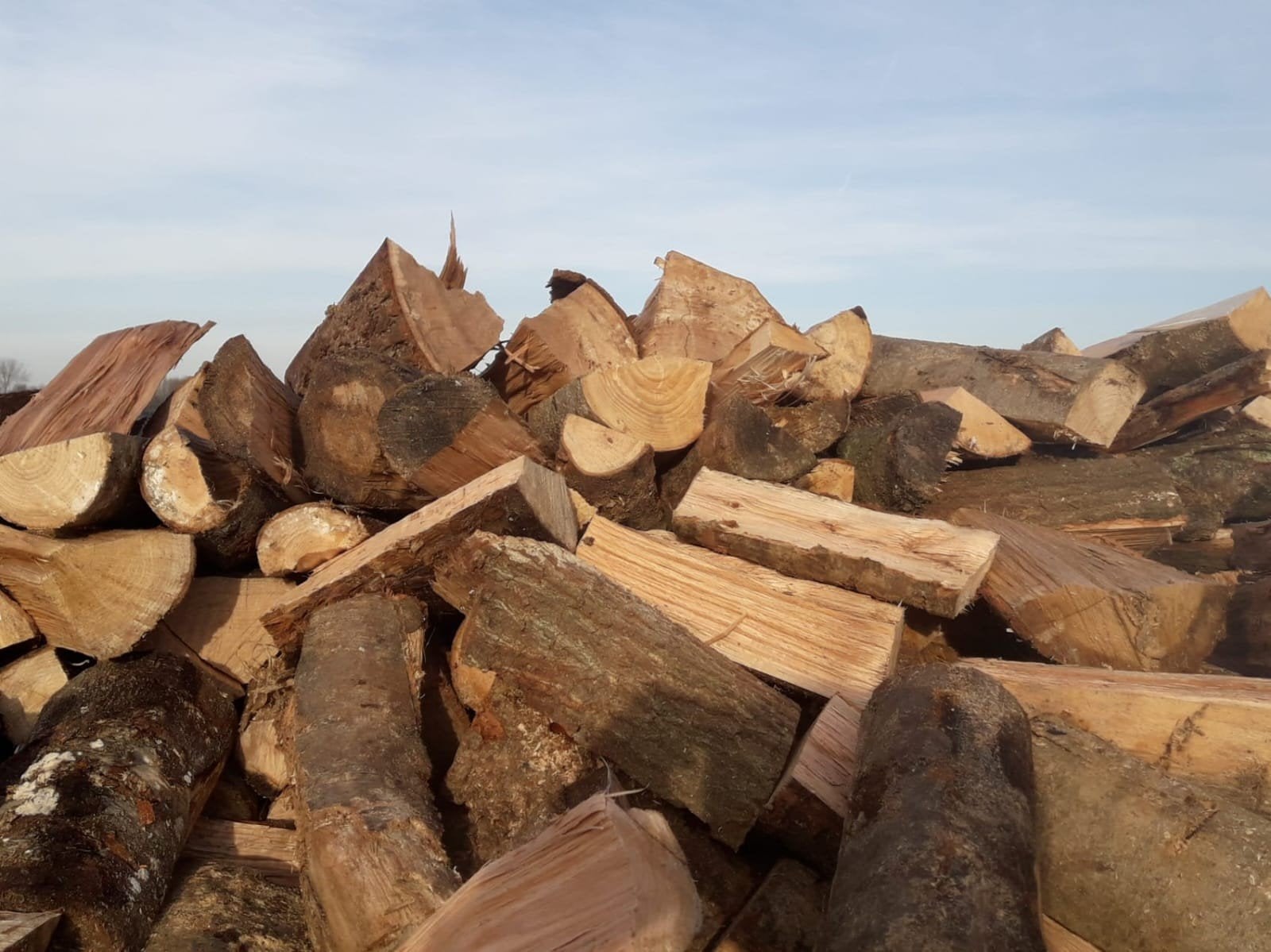 Haardhout kachelhout beukenhout * gratis bezorgd, 3 tot 6 m³, Ophalen, Beukenhout, Blokken