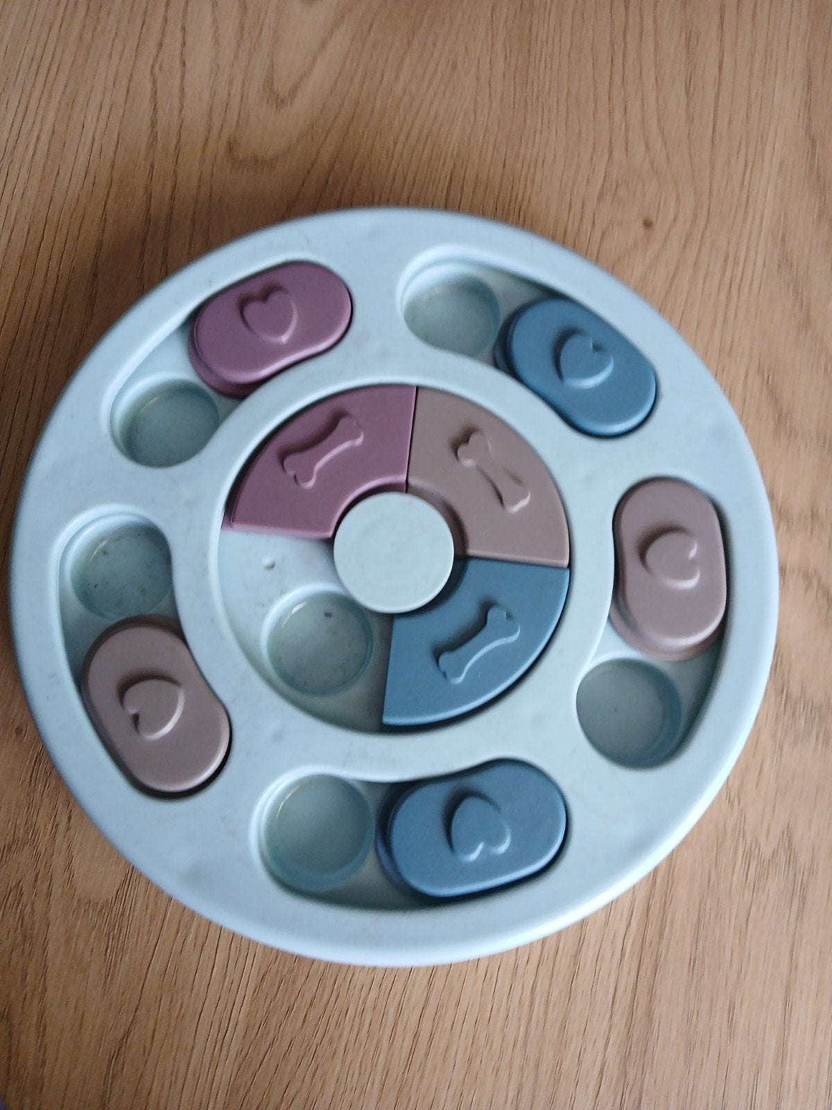 Hondenpuzzel, Dieren en Toebehoren, Ophalen of Verzenden