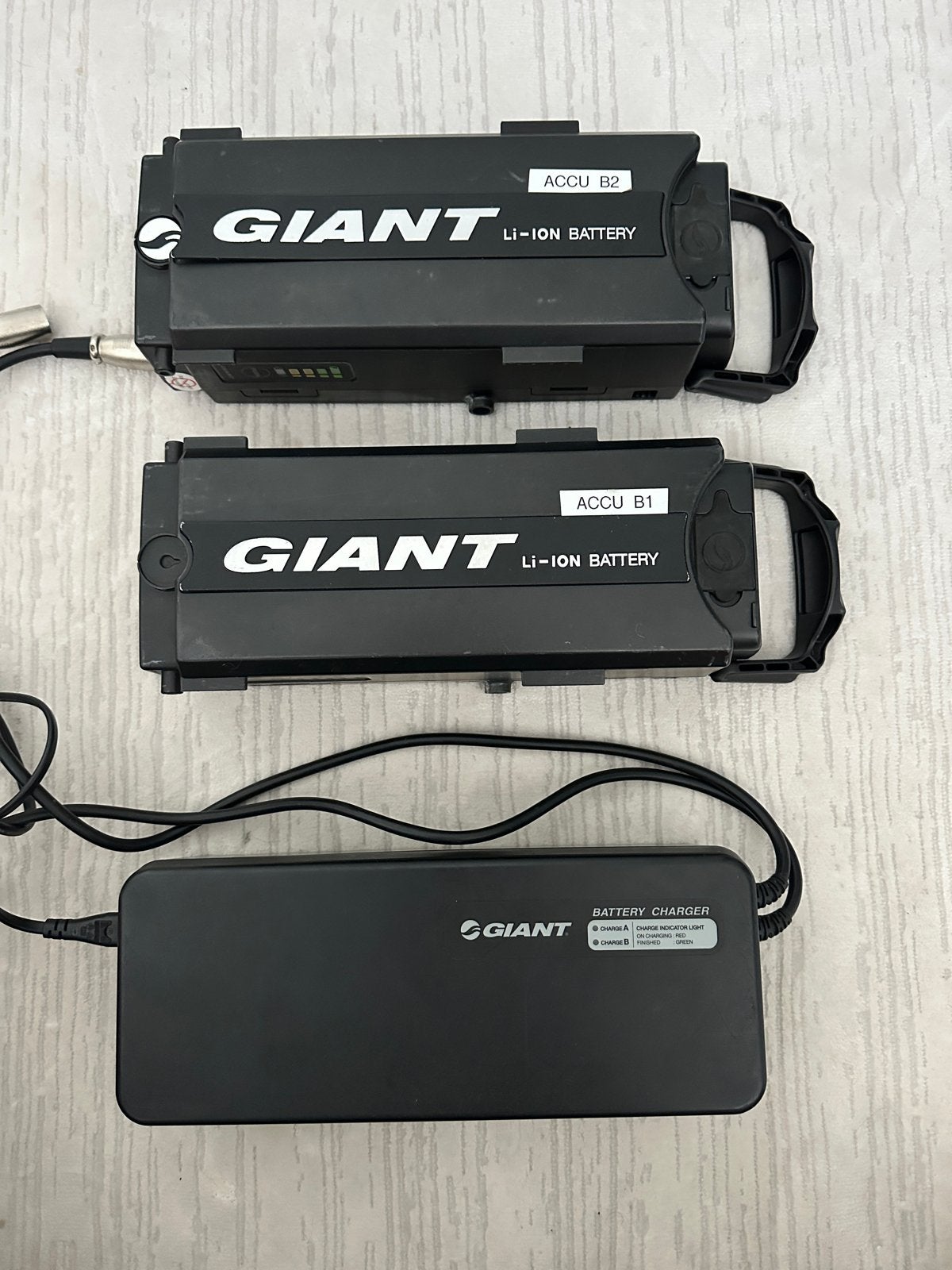 Giant Li-Ion E-bike accu's 36V 5-pins (2 stuks) met lader, Fietsen en Brommers, Fietsaccessoires | Fietsaccu's, Gebruikt