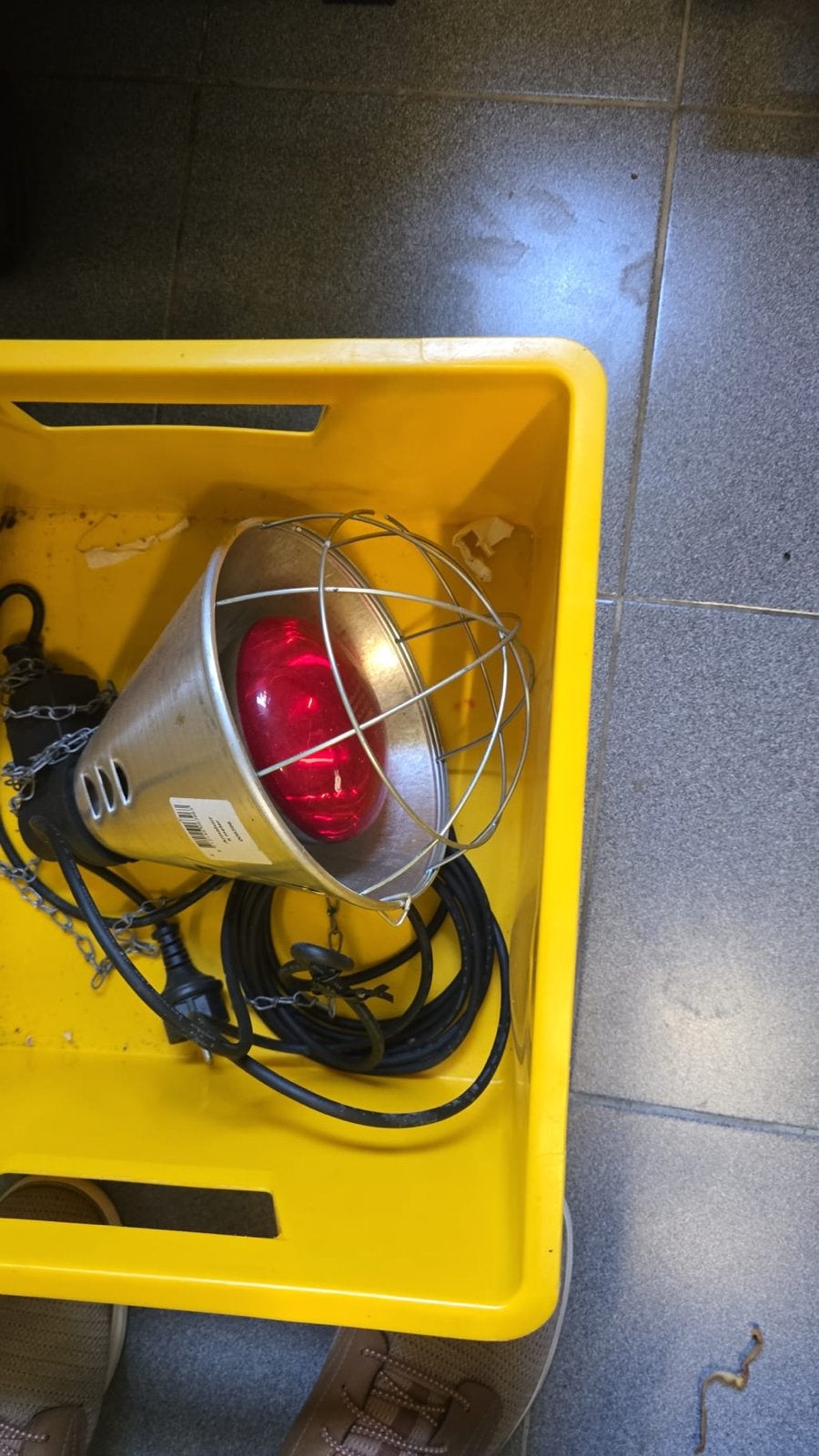Speciale warmte lamp voor dieren, Dieren en Toebehoren, Ophalen, Zo goed als nieuw