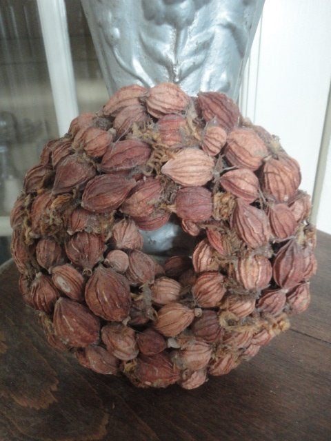 decoratief NOOTJES KRANSJE, nootjeskrans, Ophalen of Verzenden, Zo goed als nieuw, Krans, Natuurlijk materiaal