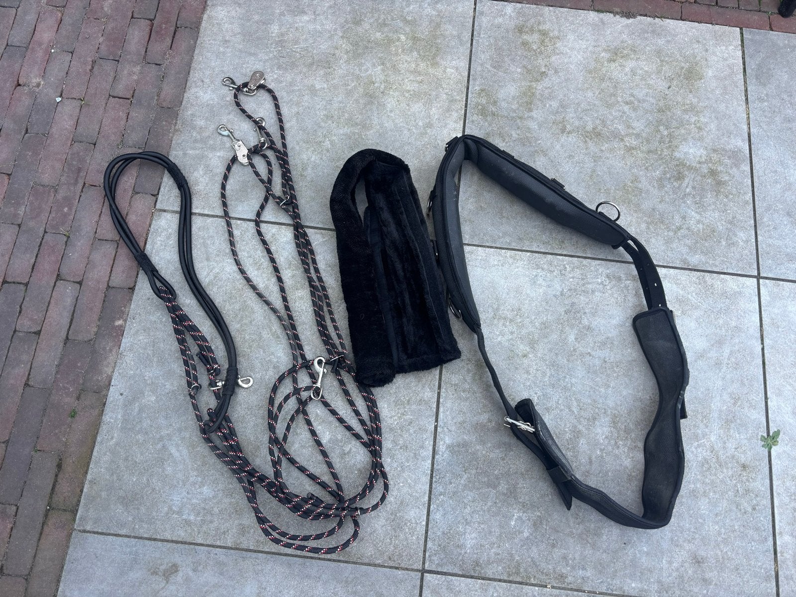 Complete set met Pessoa en longeer singel, Dieren en Toebehoren, Ophalen of Verzenden, Zo goed als nieuw, Dressuur