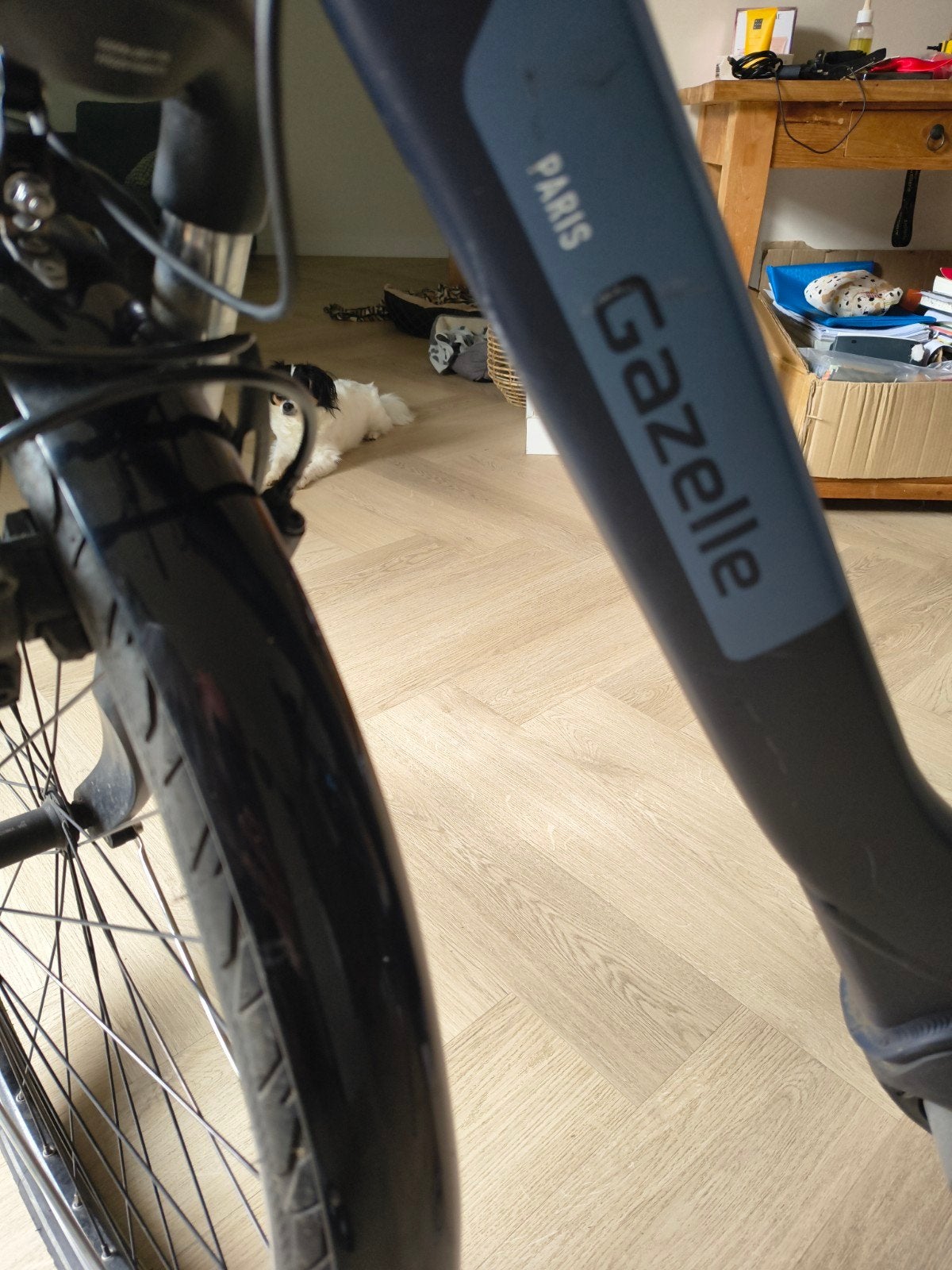 Gazelle Paris Elektrische fiets, 2021, matt navy., 51 tot 55 cm, Ophalen, Gebruikt, Gazelle
