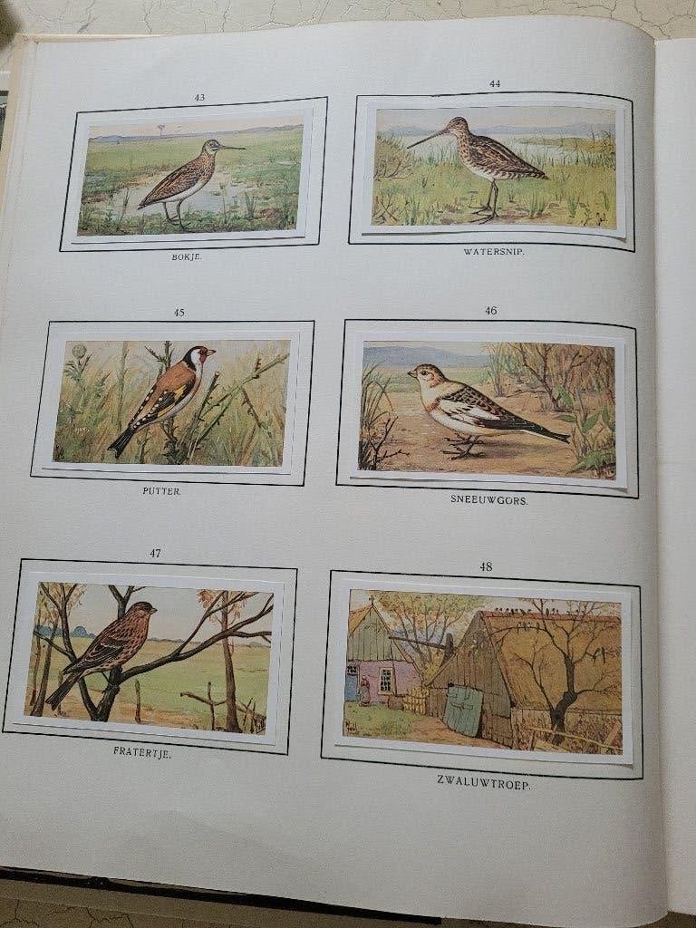 plaatjes boek Verkade Herfst, Ophalen of Verzenden, Zo goed als nieuw, Jac. P. Thijsse, Plaatjesalbum