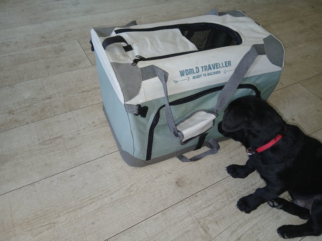 Transportbench hond.kat, Ophalen, Gebruikt
