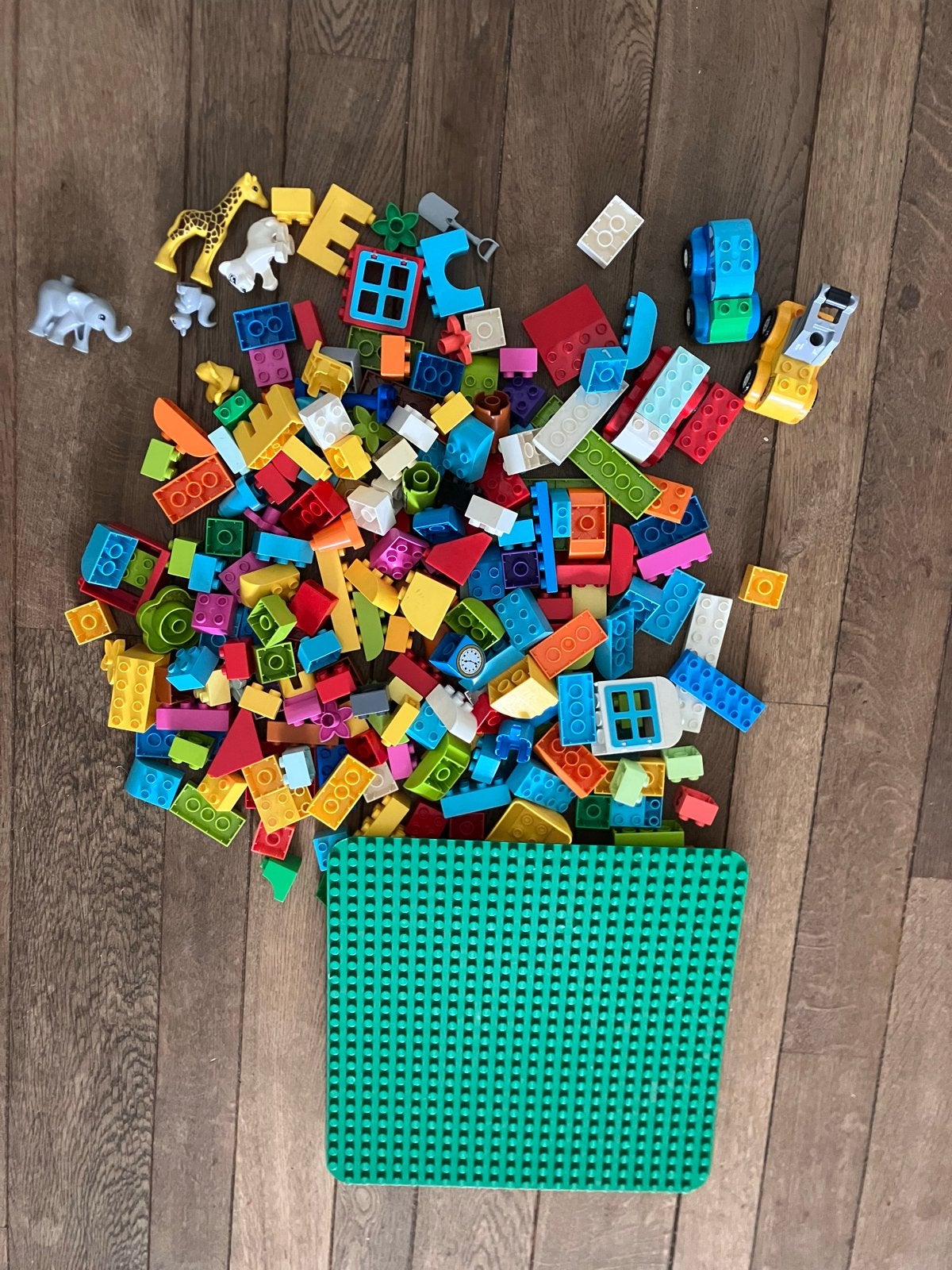 Grote bak Duplo met bouwplaat - Urenlang speelplezier!