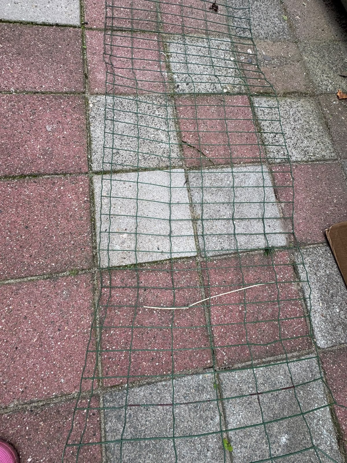 Gratis kippengaas, Ophalen, Gebruikt, 10 tot 20 meter, Gaas