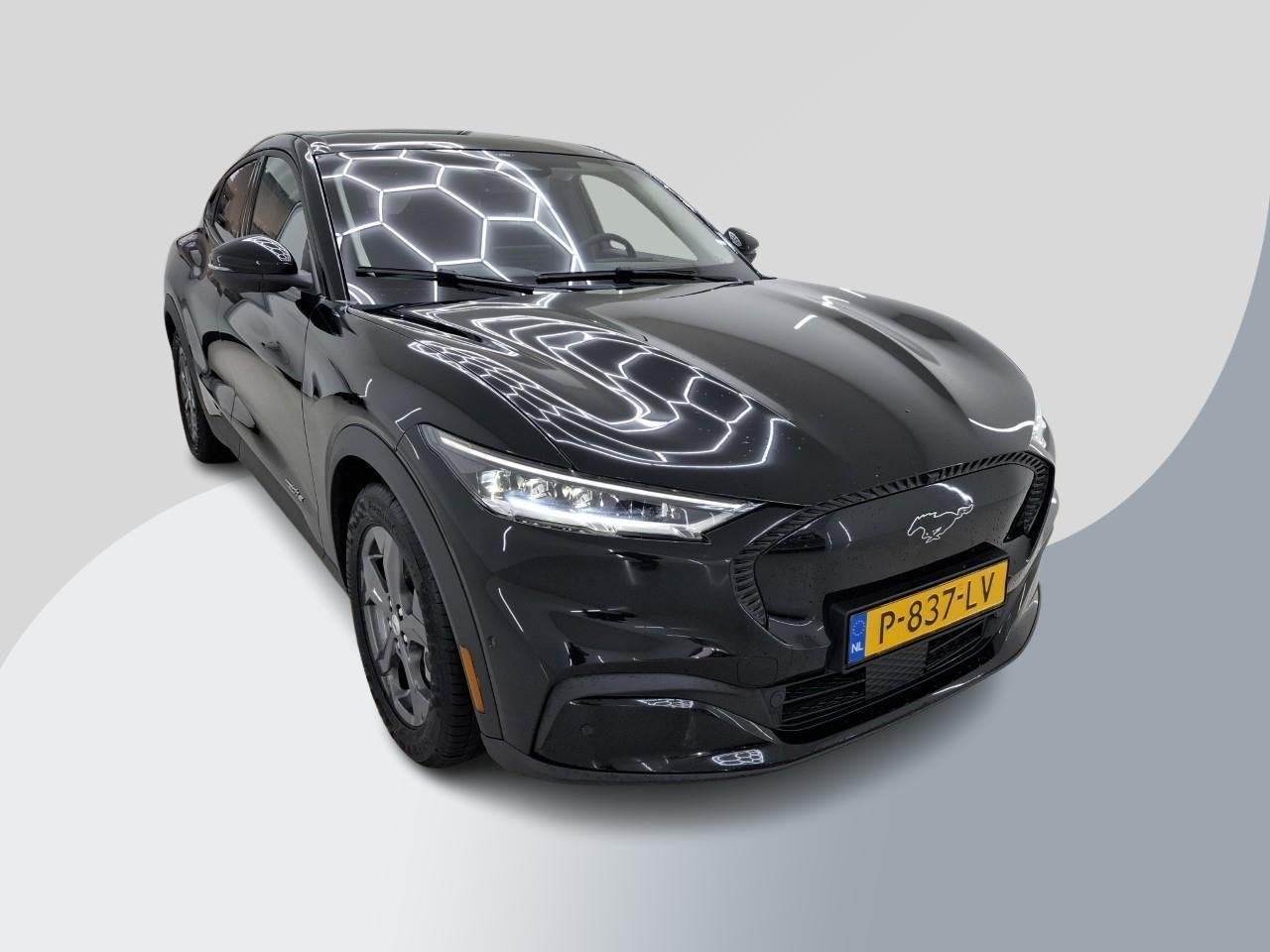 Ford Mustang Mach-E RWD 75 kWh 88.000 KM | SOH 92,5% | Techn, Auto's, Ford, Automaat, Achterwielaandrijving, Gebruikt, 40 min
