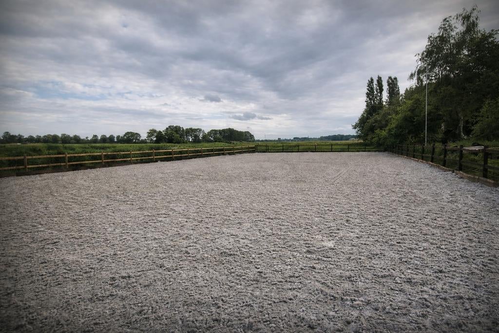 Stalruimte beschikbaar per 1 mei bij Hoeve Hollemare, Dieren en Toebehoren, Weidegang