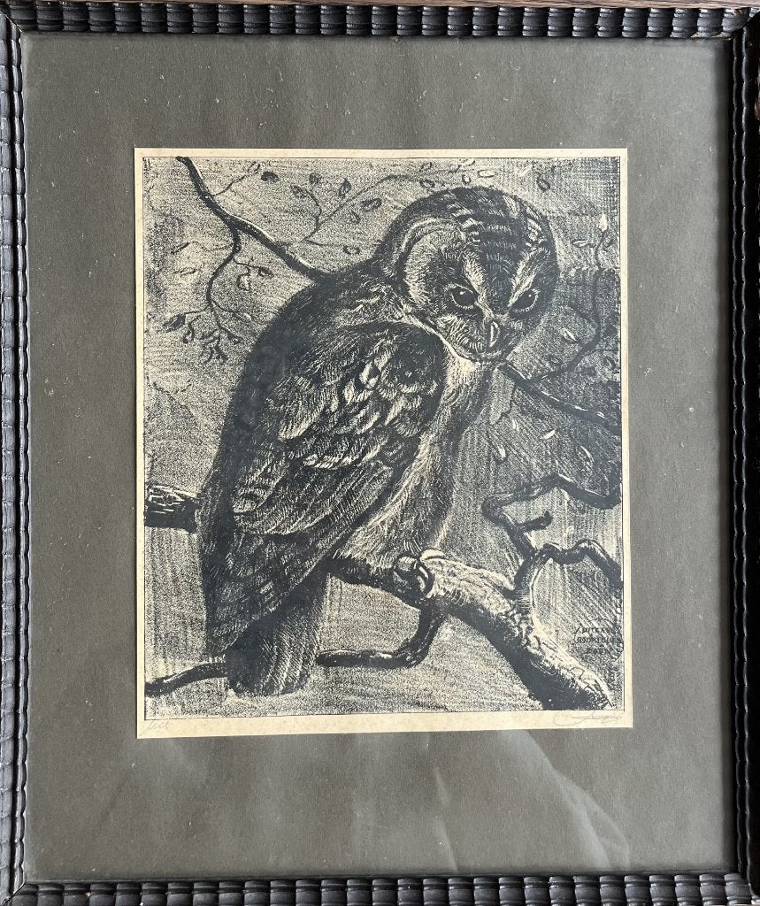 Gesigneerde ets, uil, 1800 - 1899, Ets, Gesigneerd, Ophalen of Verzenden