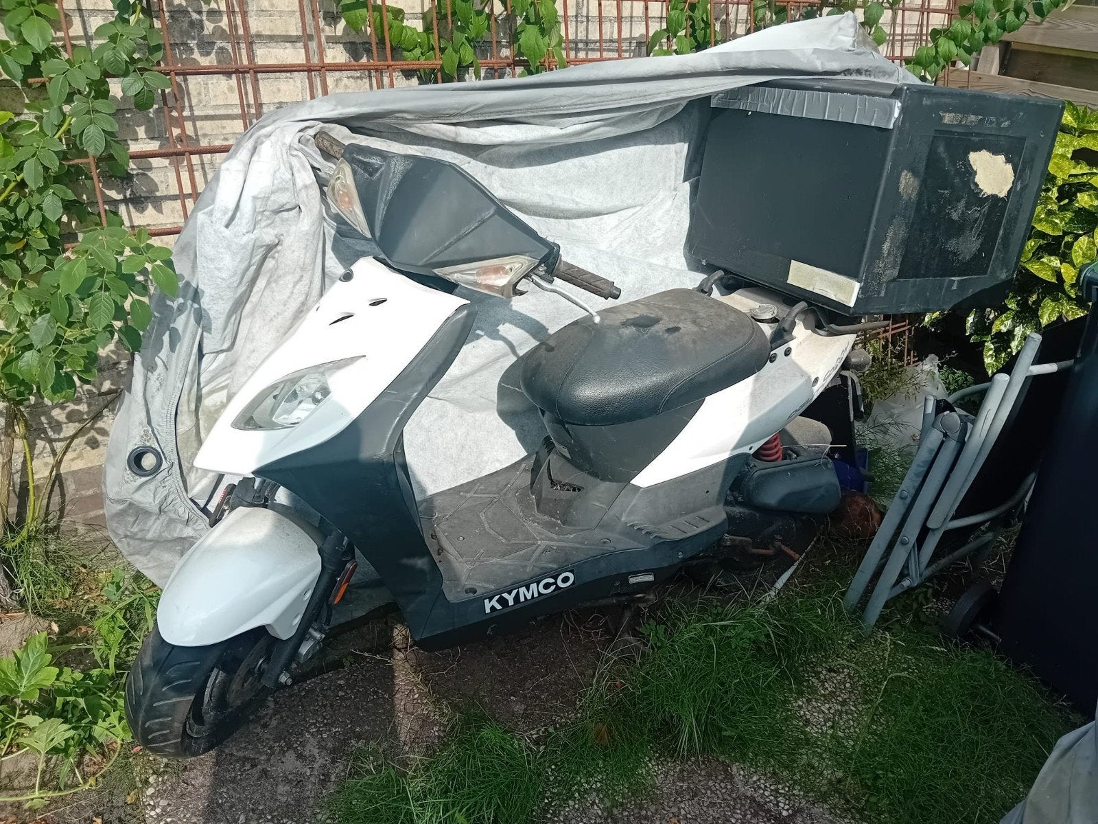 Kymco Agility Carry 50cc scooter, Fietsen en Brommers, Scooters | Kymco, Ophalen, Gebruikt, Maximaal 45 km/u, Agility