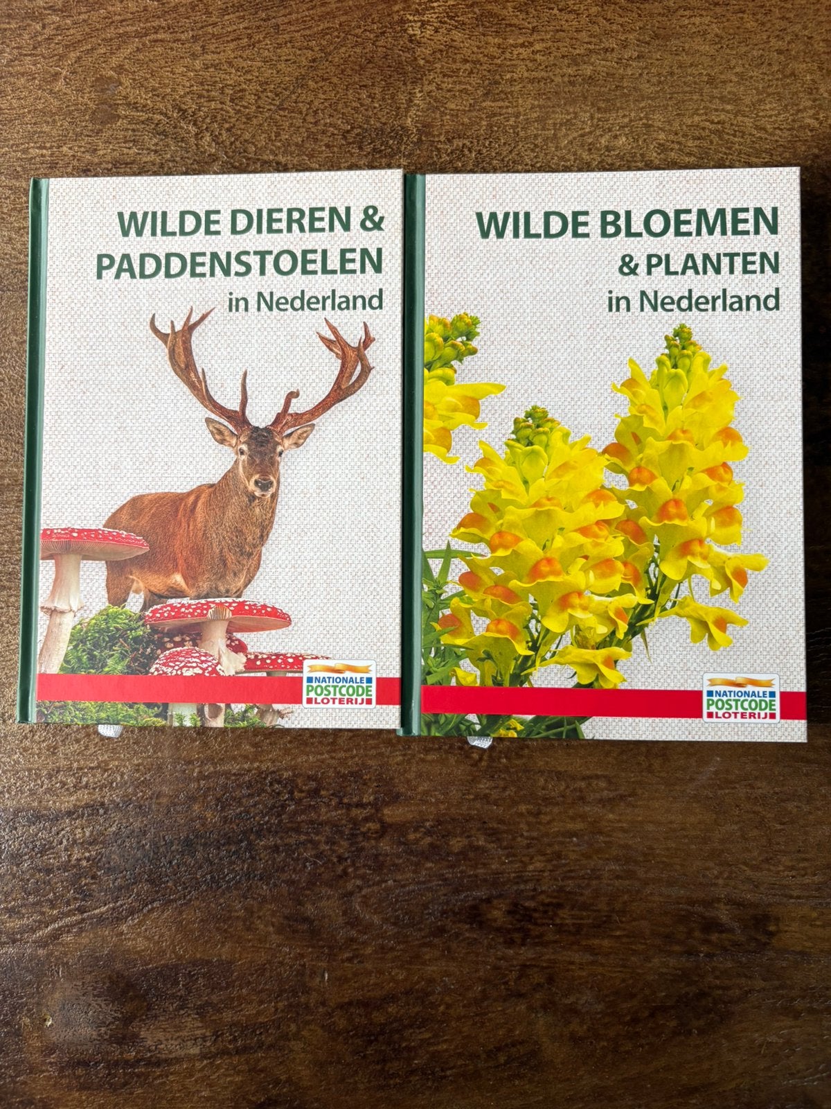 Wilde bloemen en planten en Wilde dieren en paddenstoelen, Ophalen of Verzenden, Nieuw, Bloemen, Planten en Bomen