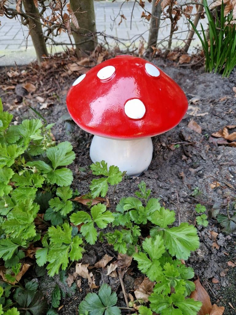 TUIN PADDENSTOEL 🍄, Tuin en Terras, Ophalen of Verzenden